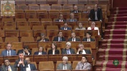 3.mp4
