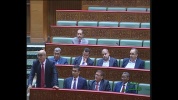 4.mp4