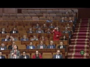 l.mp4
