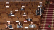 m.mp4