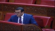 zoùmi1.mp4