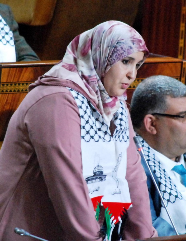 الفريق الاستقلالي في جلسة الأسئلة الشفوية بمجلس النواب