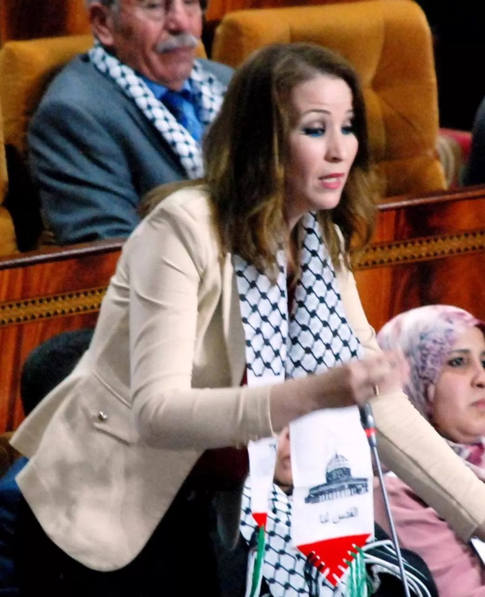 الفريق الاستقلالي في جلسة الأسئلة الشفوية بمجلس النواب