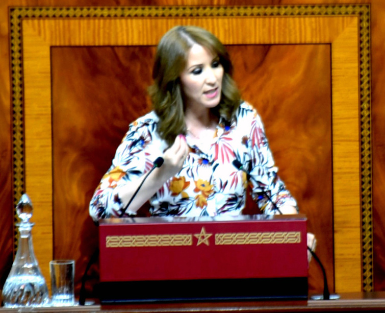 تدخل الاخت رفيعة المنصوري عضوة الفريق الاستقلالي بمجلس النواب في مناقشة مشروع قانون المالية 2019 تدخل الاخت رفيعة المنصوري عضوة الفريق الاستقلالي بمجلس النواب في مناقشة مشروع قانون المالية 2019