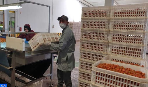 فيروس كورونا.. الفاعلون في القطاع الفلاحي يحافظون على نشاط الانتاج في احترام صارم للتدابير الصحية فيروس كورونا.. الفاعلون في القطاع الفلاحي يحافظون على نشاط الانتاج في احترام صارم للتدابير الصحية