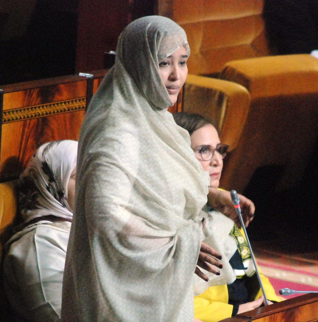 الفريق الاستقلالي بمجلس النواب في جلسة مساءلة رئيس الحكومة الفريق الاستقلالي بمجلس النواب في جلسة مساءلة رئيس الحكومة