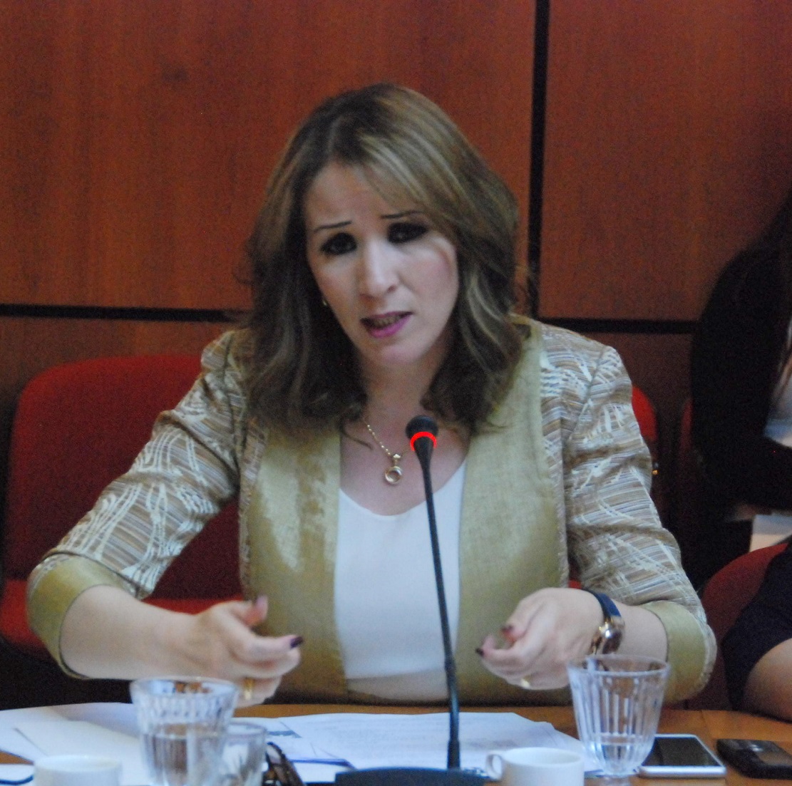 النائبة رفيعة المنصوري : البعد الدستوري للعدالة المجالية يستوجب إقامة نواة جامعية بدائرة ترجيست  النائبة رفيعة المنصوري : البعد الدستوري للعدالة المجالية يستوجب إقامة نواة جامعية بدائرة ترجيست