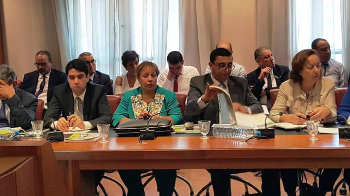 عبدالمجيد الفاسي : التطاول على اللغتين الرسميتين للدولة خط أحمر عبدالمجيد الفاسي : التطاول على اللغتين الرسميتين للدولة خط أحمر