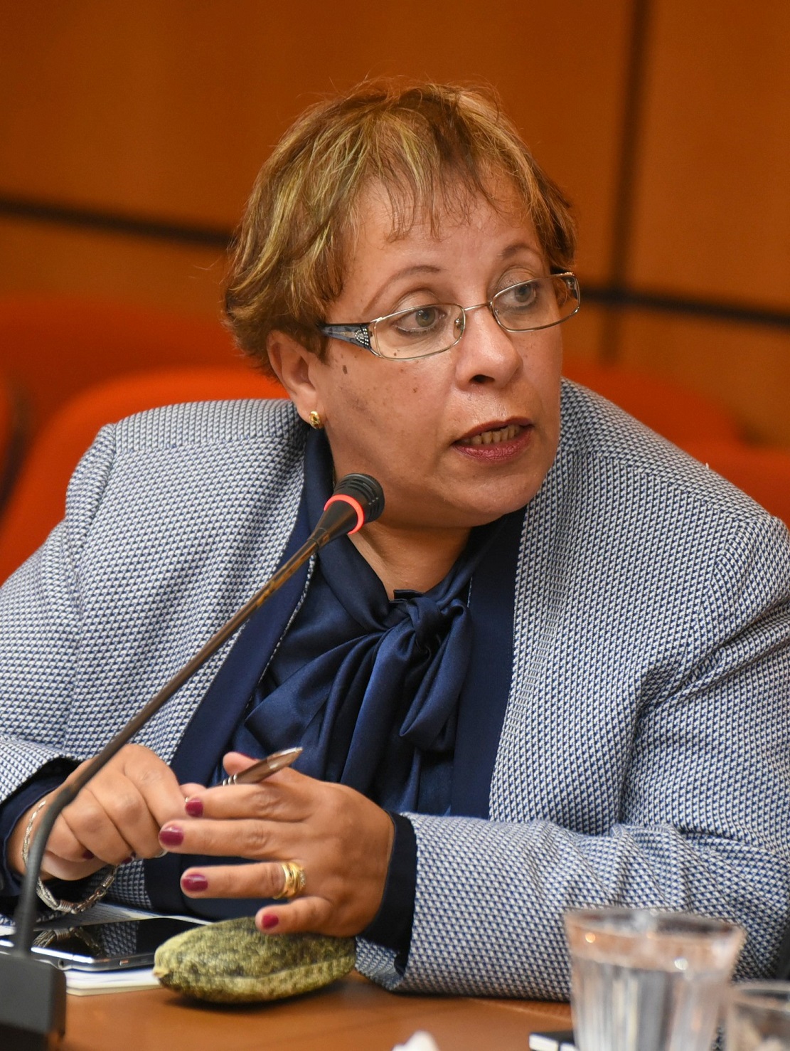 الأخت عبلة بوزكري : الدعوة الى التفاعل الإيجابي مع توصيات المجلس الأعلى للحسابات بخصوص المكتب الوطني للسكك الحديدية  الأخت عبلة بوزكري : الدعوة الى التفاعل الإيجابي مع توصيات المجلس الأعلى للحسابات بخصوص المكتب الوطني للسكك الحديدية