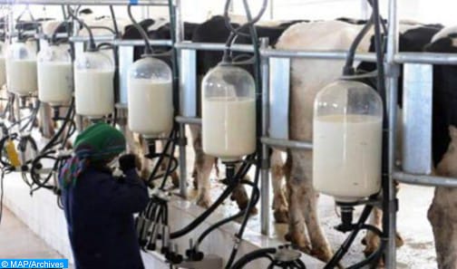 فيروس كورونا.. الكونفدرالية المغربية للفلاحة والتنمية القروية تطمئن المواطنين بخصوص استمرارية الإنتاج الفلاحي وتموين الأسواق
