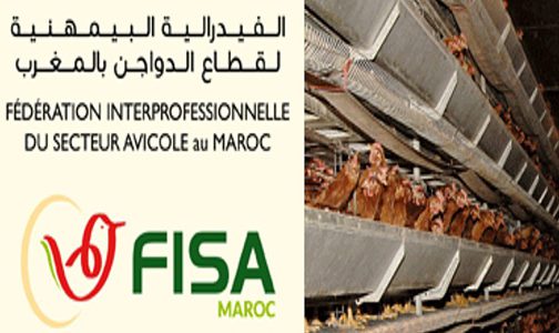 فيروس كورونا .. قطاع الدواجن يستمر في العمل بشكل طبيعي