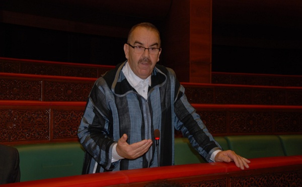 الأخ محمد الأشهب : ضرورة بلورة برنامج استعجالي لمعالجة مشاكل قطاع الزيتون