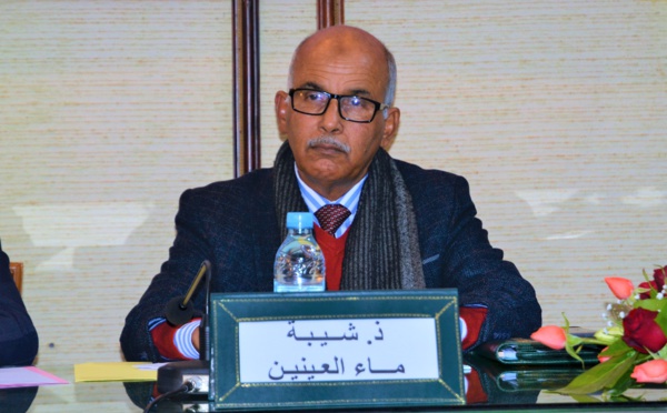 الأخ شيبة ماء العينين : الإصلاح المؤسساتي قرين للتنمية ومقوم حيوي لتحقيقها