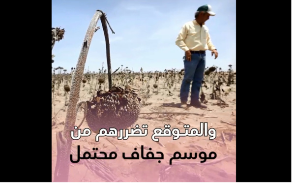 مخافة موسم جفاف محتمل.. حزب الاستقلال يدعو الحكومة لنهج الإستباقية في مواجهة شح السماء