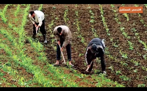  صوت المواطن" ماذا قدمت الحكومة للفلاحين لتمكينهم من التغلب على اكراهات الموسم الفلاحي الحالي ؟ 👈🏼 مقترحات الإتحاد العام للفلاحين  