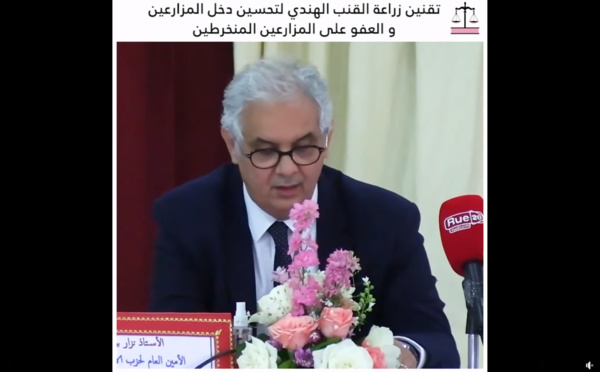 الأخ نزار بركة.. المناطق المعنية بزراعة القنب الهندي تعاني من أعلى معدلات الفقر والبطالة وحدة الفوارق وهذا إشكال حقيقي