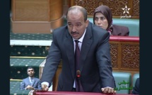 الأخ النعم ميارة : التعويضات العائلية تزداد هزالة مع ضعف القدرة الشرائية وغلاء المواد الاستهلاكية الأخ النعم ميارة : التعويضات العائلية تزداد هزالة مع ضعف القدرة الشرائية وغلاء المواد الاستهلاكية