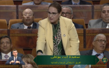 سعيدة ايت بوعلي : التداعيات الاقتصادية و الاجتماعيات لتلف زراعة الصبار بسبب الحشرة القرمزية