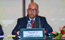 الأخ شيبة ماء العينين : الإصلاح المؤسساتي قرين للتنمية ومقوم حيوي لتحقيقها