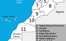 مونوغرافيا الجهات 12 للمملكة هي وثائق تقدم معطيات عامة عن الجهات
