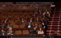 الأخت رفيعة المنصوري : المناطق الحرة ( تعقيب إضافي)