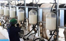 فيروس كورونا.. الكونفدرالية المغربية للفلاحة والتنمية القروية تطمئن المواطنين بخصوص استمرارية الإنتاج الفلاحي وتموين الأسواق
