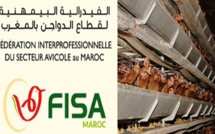 فيروس كورونا .. قطاع الدواجن يستمر في العمل بشكل طبيعي