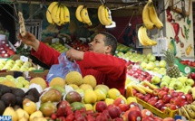  الفدرالية البيمهنية لسلسلة الأشجار المثمرة بالمغرب.. عملية تزويد السوق الوطني بكل أنواع الفواكه تمر في ظروف عادية