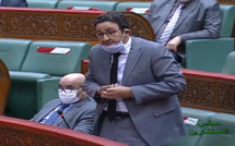 عبد الصمد قيوح.. الحكومة مطالبة بوضع قيود على استيراد التمور من أجل حماية المنتوج المغربي وإنقاذ عدد من الفلاحين الصغار ومزارعي واحات النخيل من الإفلاس