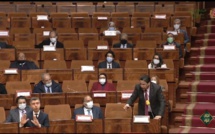 الأخ عمر حجيرة: الحكومة مطالبة بإنقاذ الكسابة الرحل بالجهة الشرقية ومعالجة أوضاعهم الهشة