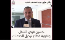 تحسين فرص الشغل وتقوية قطاع ترحيل الخدمات، محور لقاء الأخ Ryad Mezzour - رياض مزور وزير الصناعة و التجارة بالفدرالية المغربية لترحيل الخدمات .