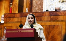 الأخت خولة الخرشي : المطالبة بتسريع تنزيل الاستراتيجية الطاقية وتنويع مصادرها