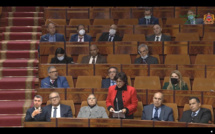 الأخت مليكة لحيان تثير التساؤل حول التسهيلات التي ستعتمدها الحكومة لتحفيز استثمار مغاربة العالم بوطنهم وتطالب بتبسيط الاجراءات الادراية ومرافقة ومواكبة المستثمرين وتخفيض أسعار العقار الموجه للاستثمار